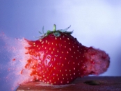 Фотография на забавен кадър -slow-motion-photography-bllet-fruit.jpg