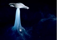 Фотография на забавен кадър -slow-motion-photography-misterious.jpg